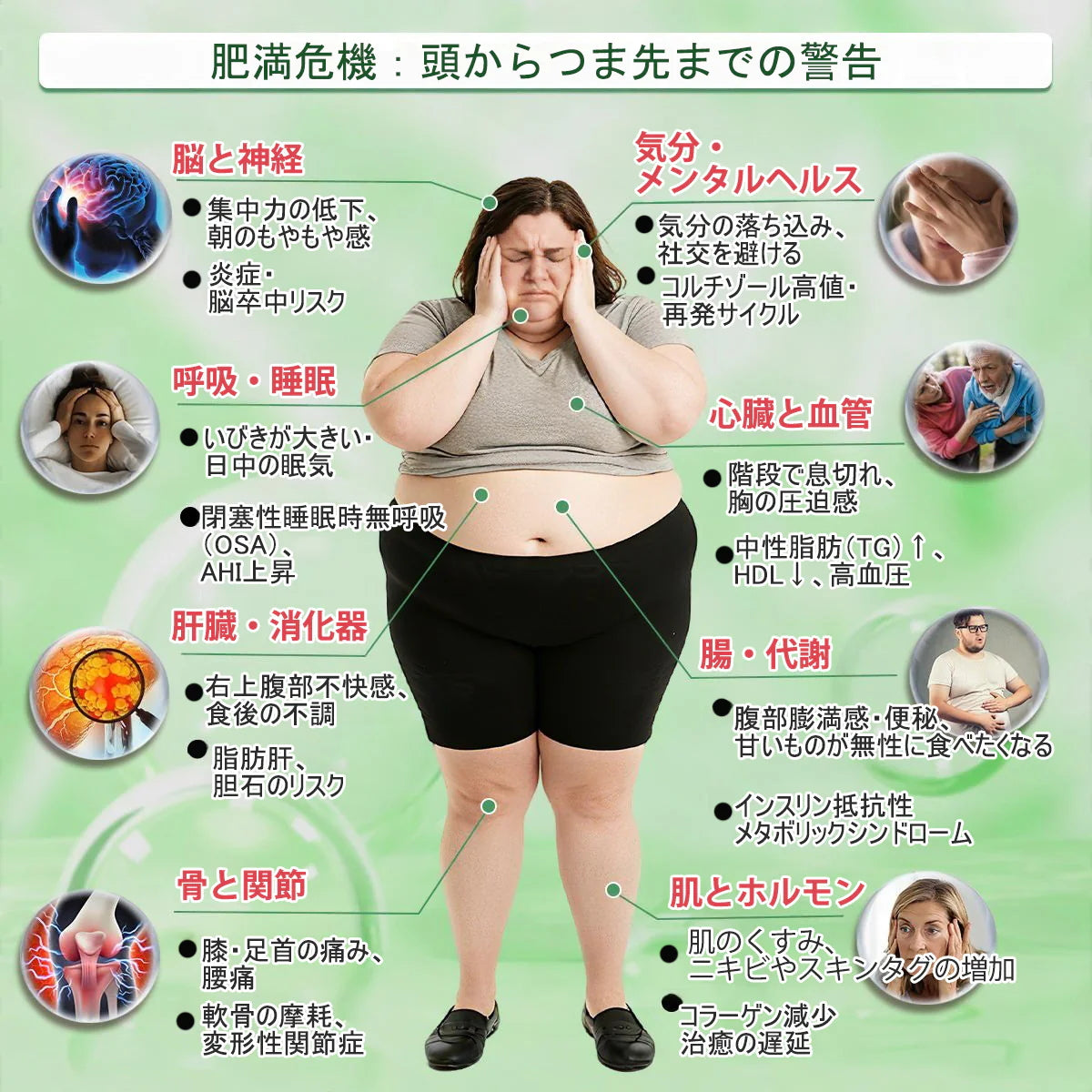 🇯🇵医師発想の先進ケア！𝐀𝐌𝐙𝐊𝐄𝐄𝐏® モリンガ×ベルベリン×𝐍𝐀𝐃+ これ𝟏枚で𝟏𝟎役 ナノマイクロニードルパッチ（最短𝟕日で変化を実感）