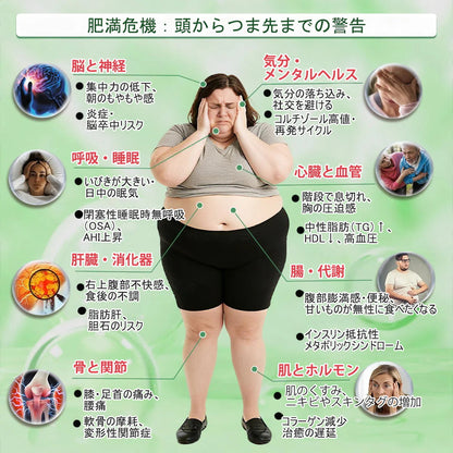 🇯🇵医師発想の先進ケア！𝐀𝐌𝐙𝐊𝐄𝐄𝐏® モリンガ×ベルベリン×𝐍𝐀𝐃+ これ𝟏枚で𝟏𝟎役 ナノマイクロニードルパッチ（最短𝟕日で変化を実感）